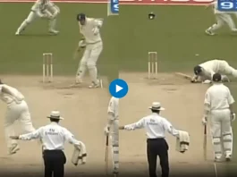 Cricket Viral Video