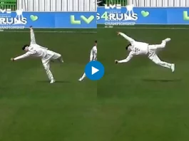 Cricket Viral Video