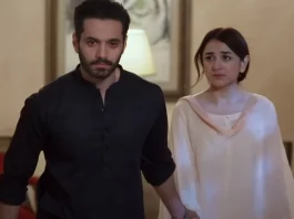 Pakistani drama Tere Bin