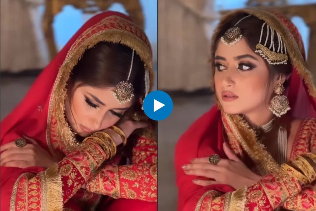 Pakistani actress Sajal Aly