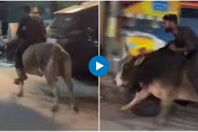 Viral Video Viral Video