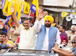 AAP Roadshow