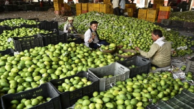 Langda mangoes