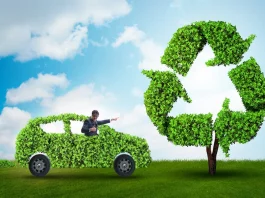 5 ways to decrease environmental impact