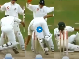 Cricket Viral Video