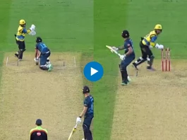 Cricket Viral Video