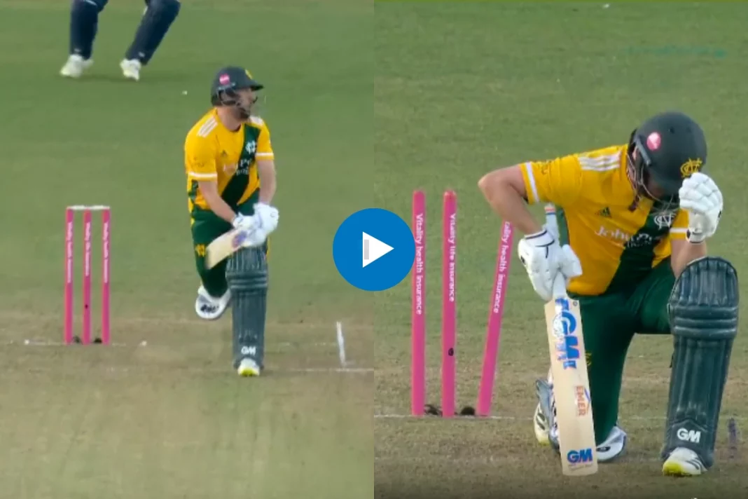 Cricket Viral Video