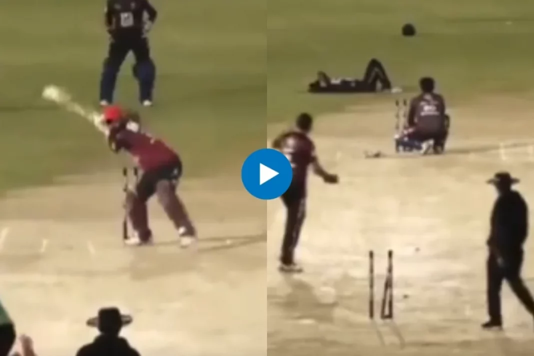 Cricket Viral Video