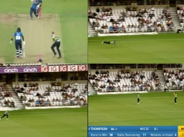Cricket Viral Video