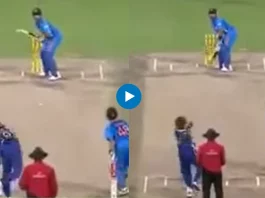 Cricket Viral Video