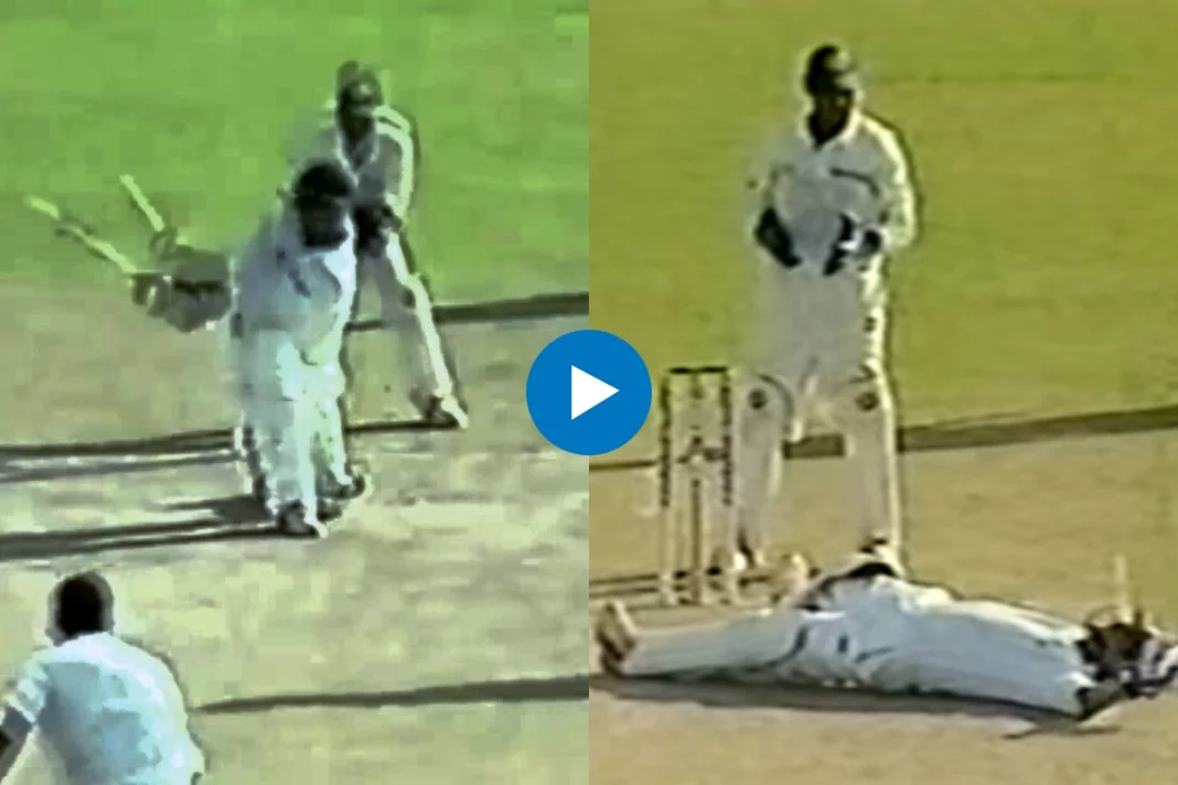 Cricket Viral Video