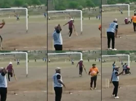 Cricket Viral Video