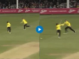 Cricket Viral Video