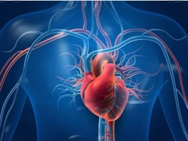 Heart Health