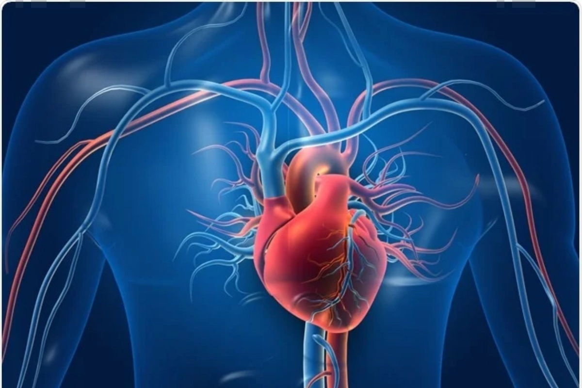 From Kawasaki disease to Cardiac syndrome X, five rare heart complications that you must know
