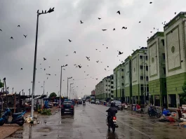 Heavy rains