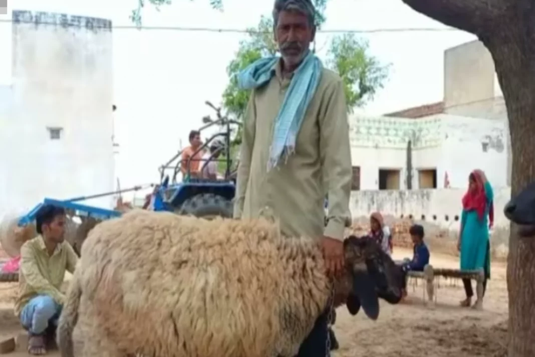 Rajasthan News