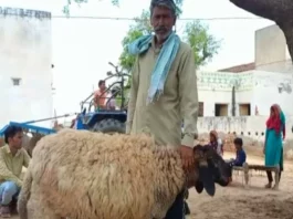 Rajasthan News