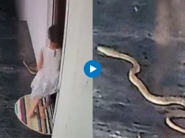 Viral Video
