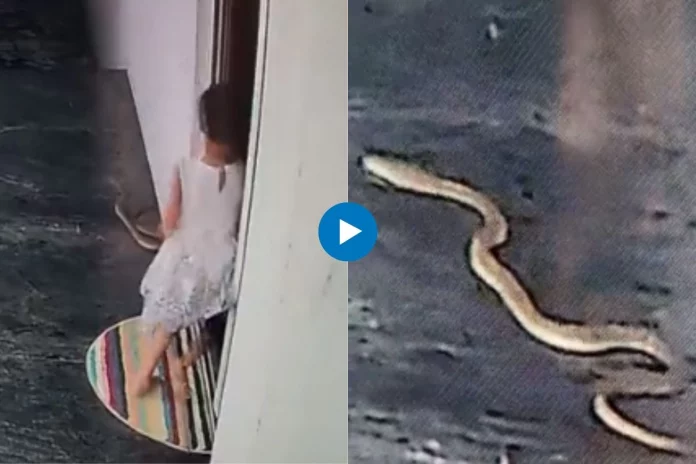 Viral Video
