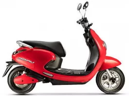 Evolet Pony Classic EV Scooty