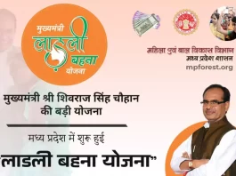 M.P News