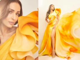 Malaika Arora mesmerizes everyone with a sunny shade that perfectly captured the essence of summer, see pics