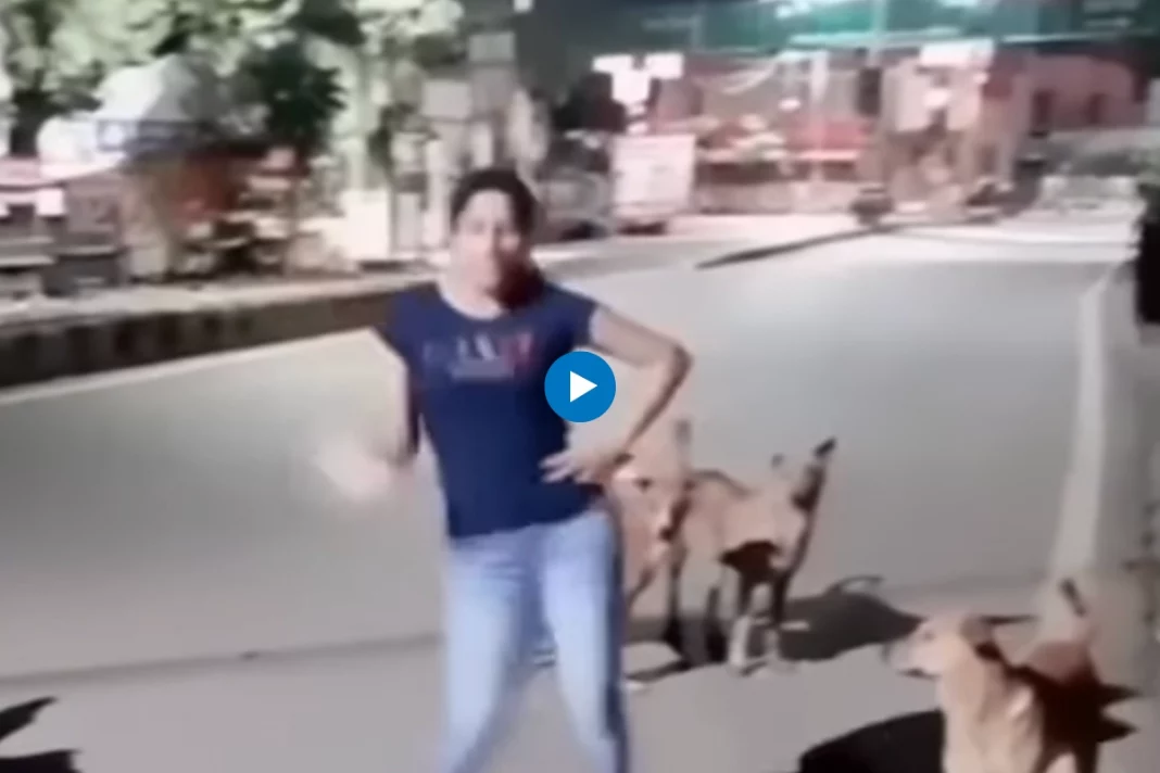 In a delightful and comical turn of events, a video of a girl dancing in front of a group of dogs has taken the internet by storm
