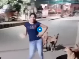 In a delightful and comical turn of events, a video of a girl dancing in front of a group of dogs has taken the internet by storm