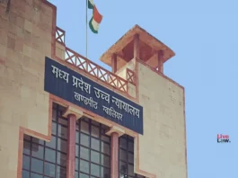 MP News