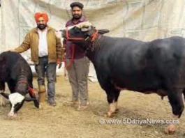 Punjab News