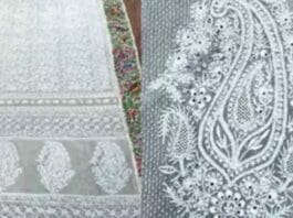 Chikankaree Saree
