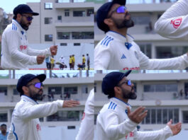 Cricket Viral Video