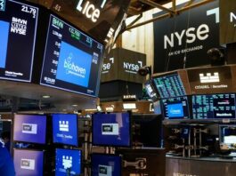 Top 5 stocks of the day