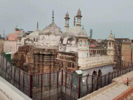 Gyanvapi Mosque Survey