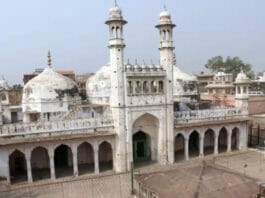 Gyanvapi Mosque Survey