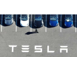 Tesla India