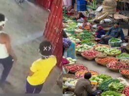 Two thieves stole vegetables from wholesale market on July 8.