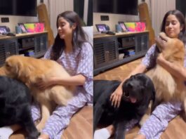 Janhvi Kapoor