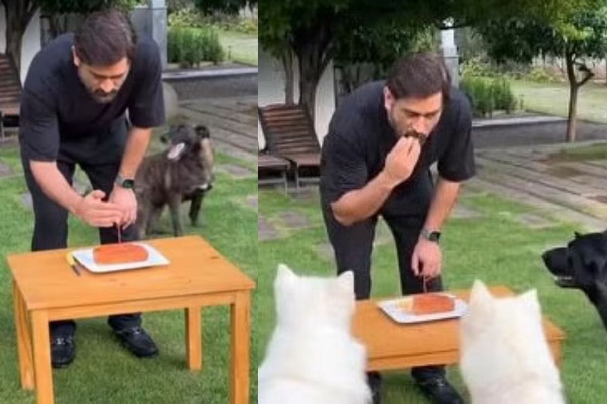 MS Dhoni MS Dhoni