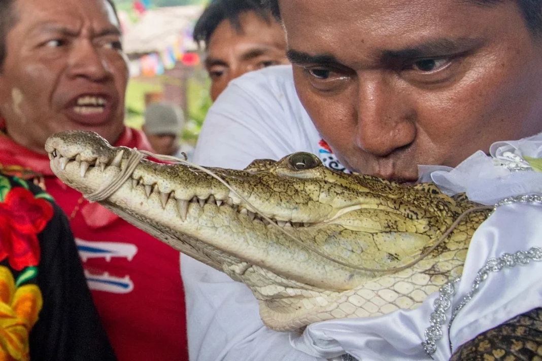 Mayor in Mexico marries crocodile in a traditional ceremony