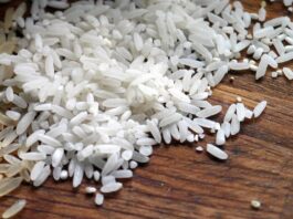 Non basmati white rice