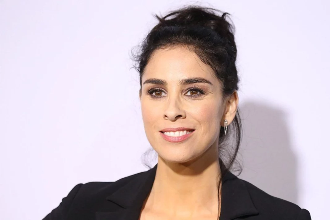 OpenAI and Meta sued by Sarah Silverman and 2 more for copyright infringement, Details
