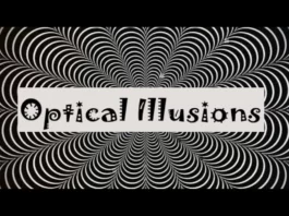 Optical Illusion