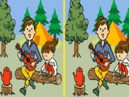 Optical Illusion