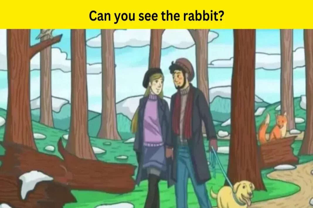 Optical Illusion