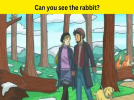Optical Illusion