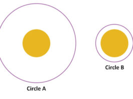 Optical Illusion