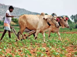 PM Kisan Samman Nidhi Yojana