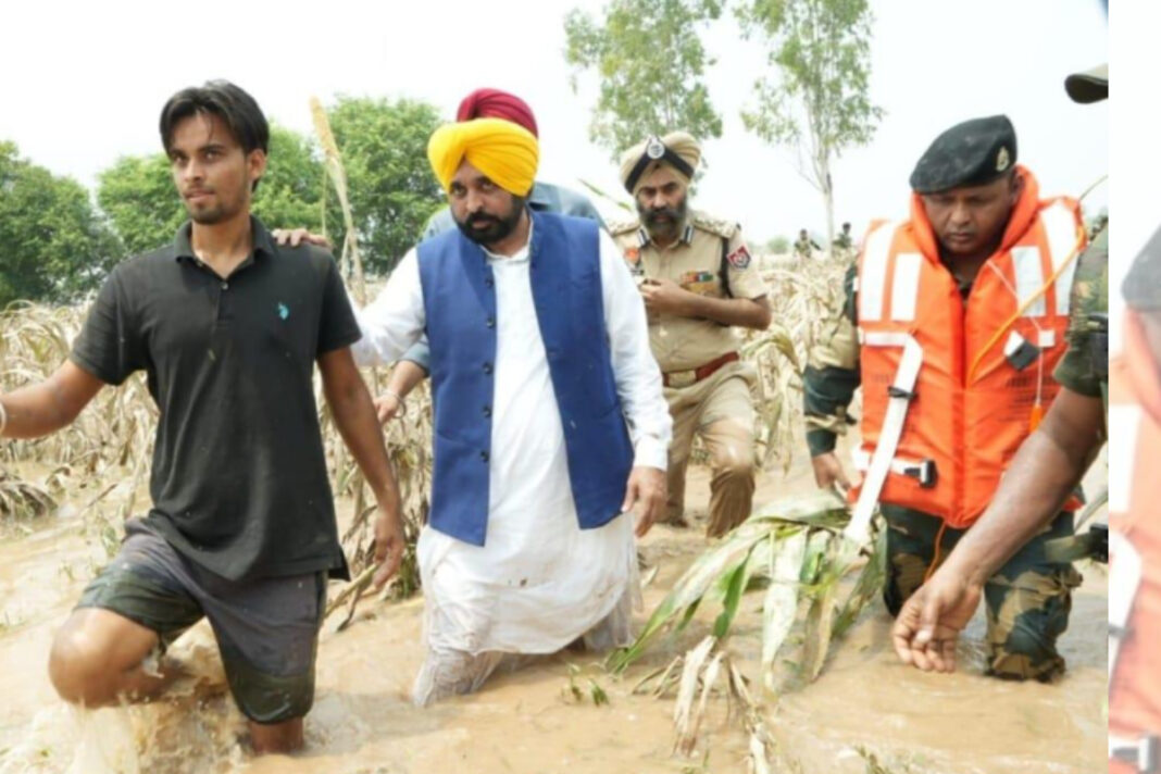 Punjab News